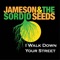 I walk down your Street - Jameson and the Sordid Seeds lyrics