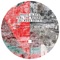 Feel The Same (DJ Koze Edit) - Radio Slave lyrics