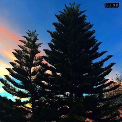 Lèiyll - EP
