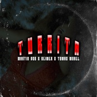 Turrita (feat. Martin DSB & Beimer musica) - Single - Tomas Morel