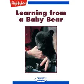 Learning from a Baby Bear
