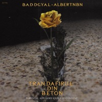 Trandafirul Din Beton (feat. AlbertNbn) - Single - Badd G