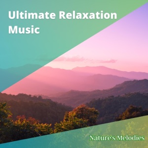 Ultimate Relaxation Music: Perfect for Alleviating Stress and Anxiety