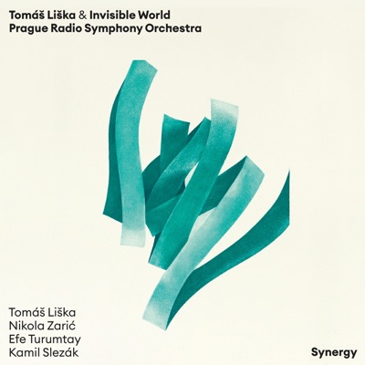 Dunga Runga (feat. Efe Turumtay, Nikola Zarić, Kamil Slezák & Prague Radio Symphony Orchestra) - Single