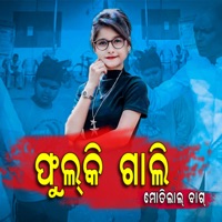 FULKI GALI - Single - DJ UDAYA SAHU