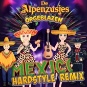 Mexico (Hardstyle Remix) artwork