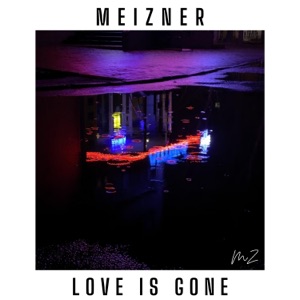 Love Is Gone - Single