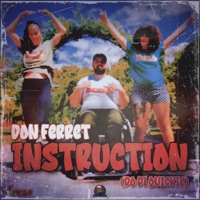 Instruction (Do Di Quickie) - Single - Don Ferret