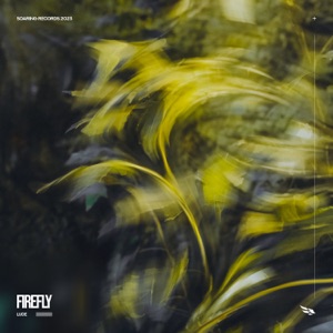 Firefly - Single