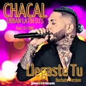 Llegaste Tu (feat. DJ Unic) [Bachata Version] artwork