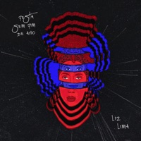 Festa Sem Fim de Ano - Single - Liz Lima