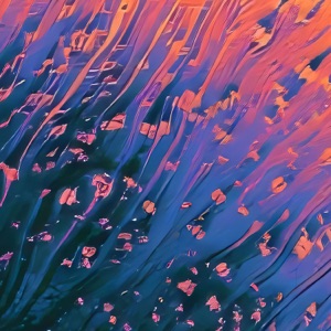 Pax Aurora Remixes - EP