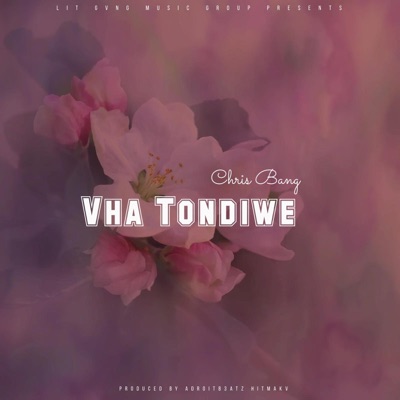 Vha Tondiwe - Single