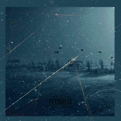 Try Me (feat. IceBirds) - Single