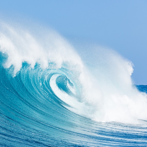 Ocean Waves - Single