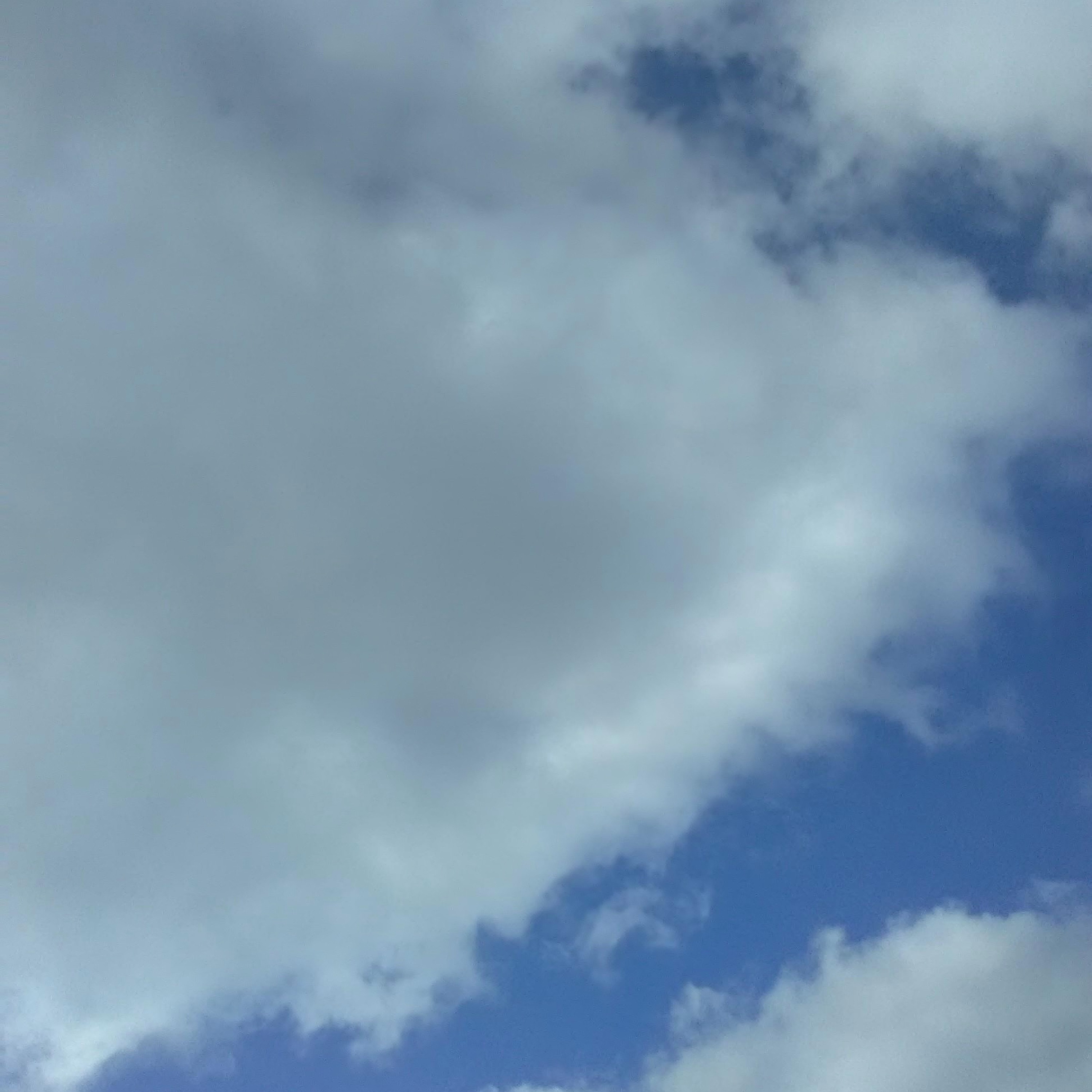 I've Dealt With Depression My Whole Life and This Title is Too Long - EP