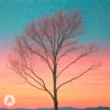 Naked Branches - Single