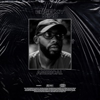Ease My Mind - Single - Amirical