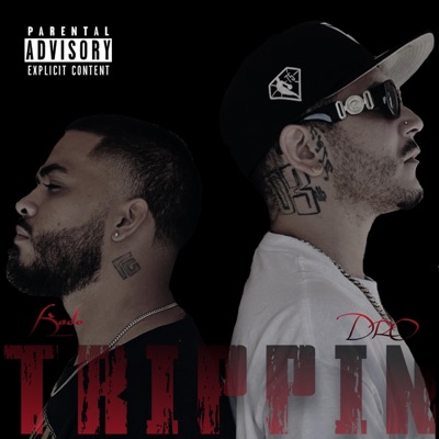 Trippin (feat. Dr03) - Single