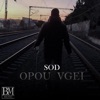 OPOU VGEI (feat. Blud Money Music) - Single