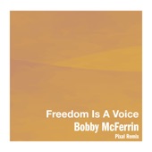 Freedom Is A Voice (Pixal Remix) artwork