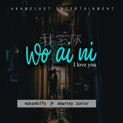 WO AI NI (I LOVE YOU) (feat. Amartey Junior) - Single