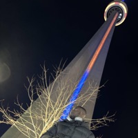 Palms Trees - Single - DJ MISTER_K