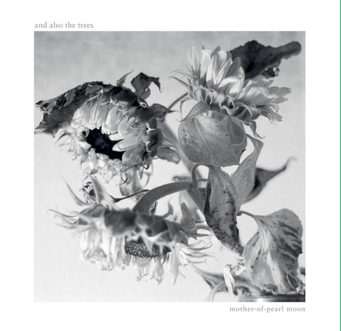 And Also the Trees - Apple Music