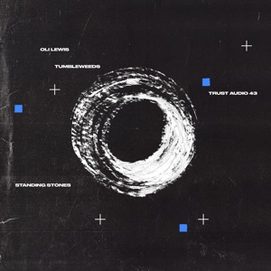 Tumbleweeds / Standing Stones - Single