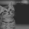 Comfort Music For Cats