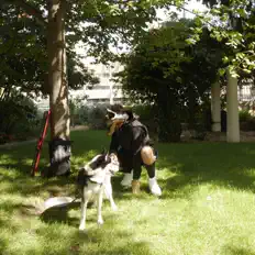 Écoutez Pablo2k, regardez des vidéoclips, lisez la biographie, consultez les dates de tournée et plus encore !