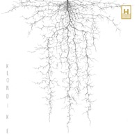 Cani di Velluto (feat. Francesco Ponticelli & Andrea Beninati) - Single - Francesco Fiorenzani