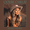 Along the Way - Colbie Caillat