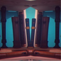 The Old Bachelor, Z.607: Hornpipe - Single - Davson Moura