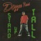 Stand Up Tall - Dizzee Rascal lyrics