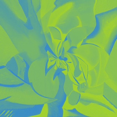 Psychoactive Soundscape // Vol. 1