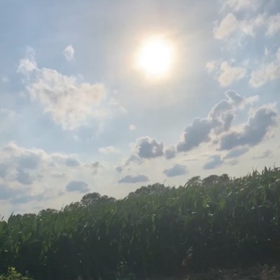 The Light (feat. Wally Dinero) - Single