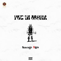 Put In Work - Single - Savage Xtra