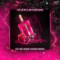 Có Yêu Được Không (Remix) - Single - Võ Lê Mi & Jin Tuấn Nam