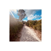 Sacrifices (feat. Laz Beatz) - Single - Shaya Rhymes