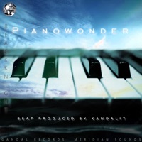 Pianowonder - Single - Kandalit