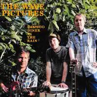 Now I Want to Hoover My Brain Clean — The Wave Pictures