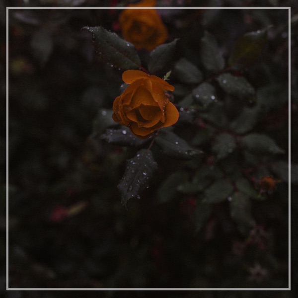 As You Begin To Fade - EP