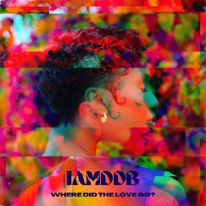 WHERE DiD the LOVE GO? - Single