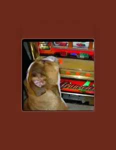 Ouça MILADA ADATO, assista a videoclipes, leia a biografia, veja as datas das turnês e mais!