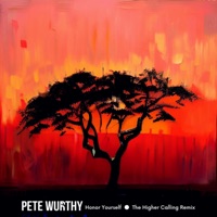 Honor Yourself (The Higher Calling Remix) - Single - Pete Wurthy