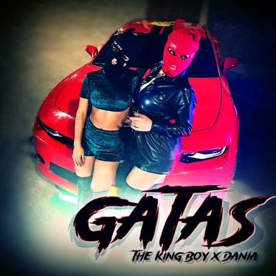 Gatas (feat. DANI A) - Single