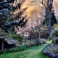 Sleep Forever - Single - Drippin So Pretty