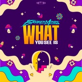 What You See Is (Extended Mix) artwork
