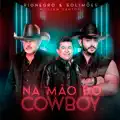 Na Mão do Cowboy